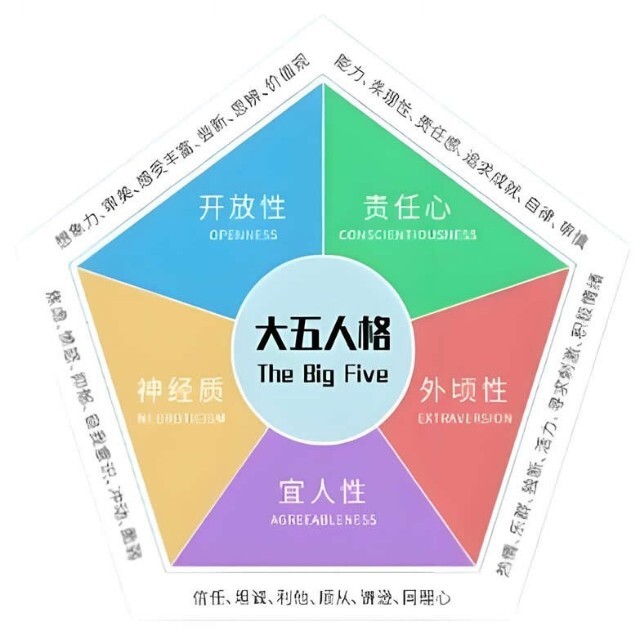 大五人格测试-标准版2025官方新版图标