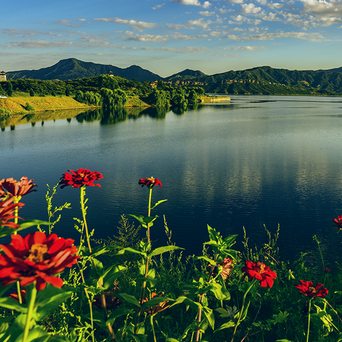 庆泰永如意问询小助手2025官方新版图标