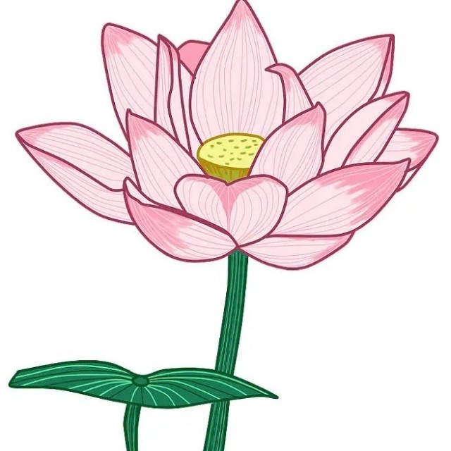 莲芯剧场2025官方新版图标