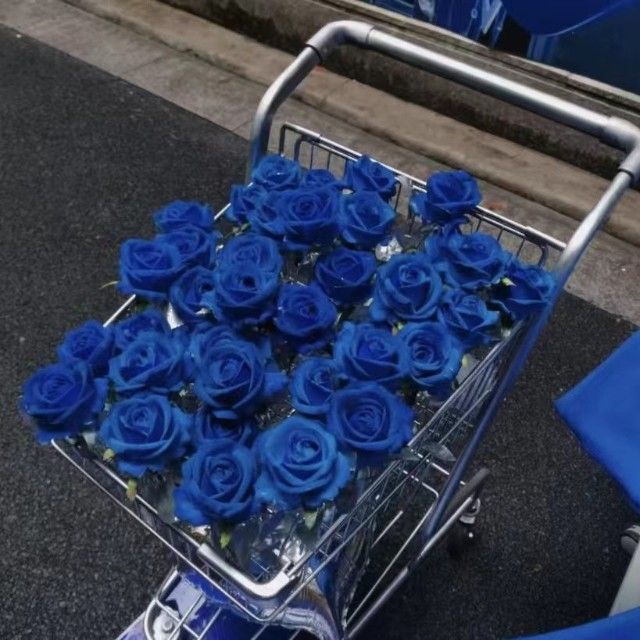 澜迪助手2025官方新版图标