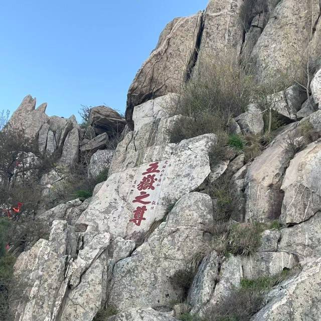 长逍52025官方新版图标