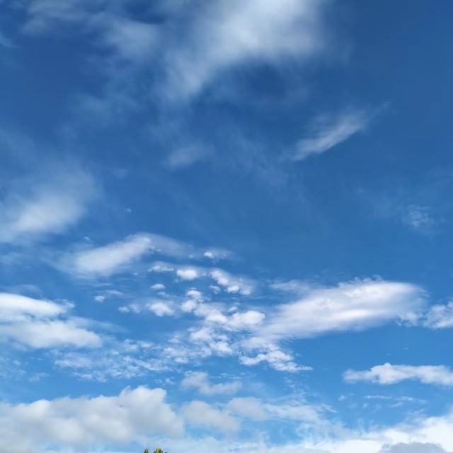 十大功百货2025官方新版图标