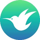 蜂鸟focus | 专注计时工具2025官方新版图标