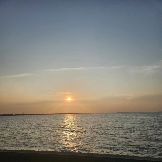 柑橘叶便利店2025官方新版图标