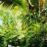 双面龟美发2025官方新版图标