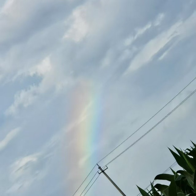 卡布达宠物店2025官方新版图标