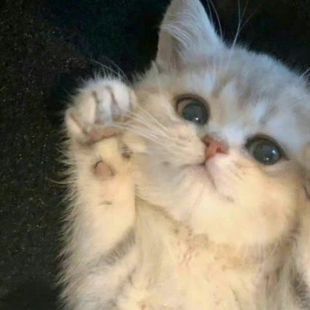 进击短剧2025官方新版图标